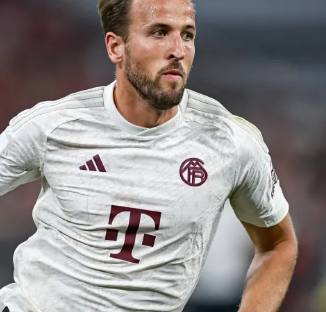 对更大的心 对更大的心