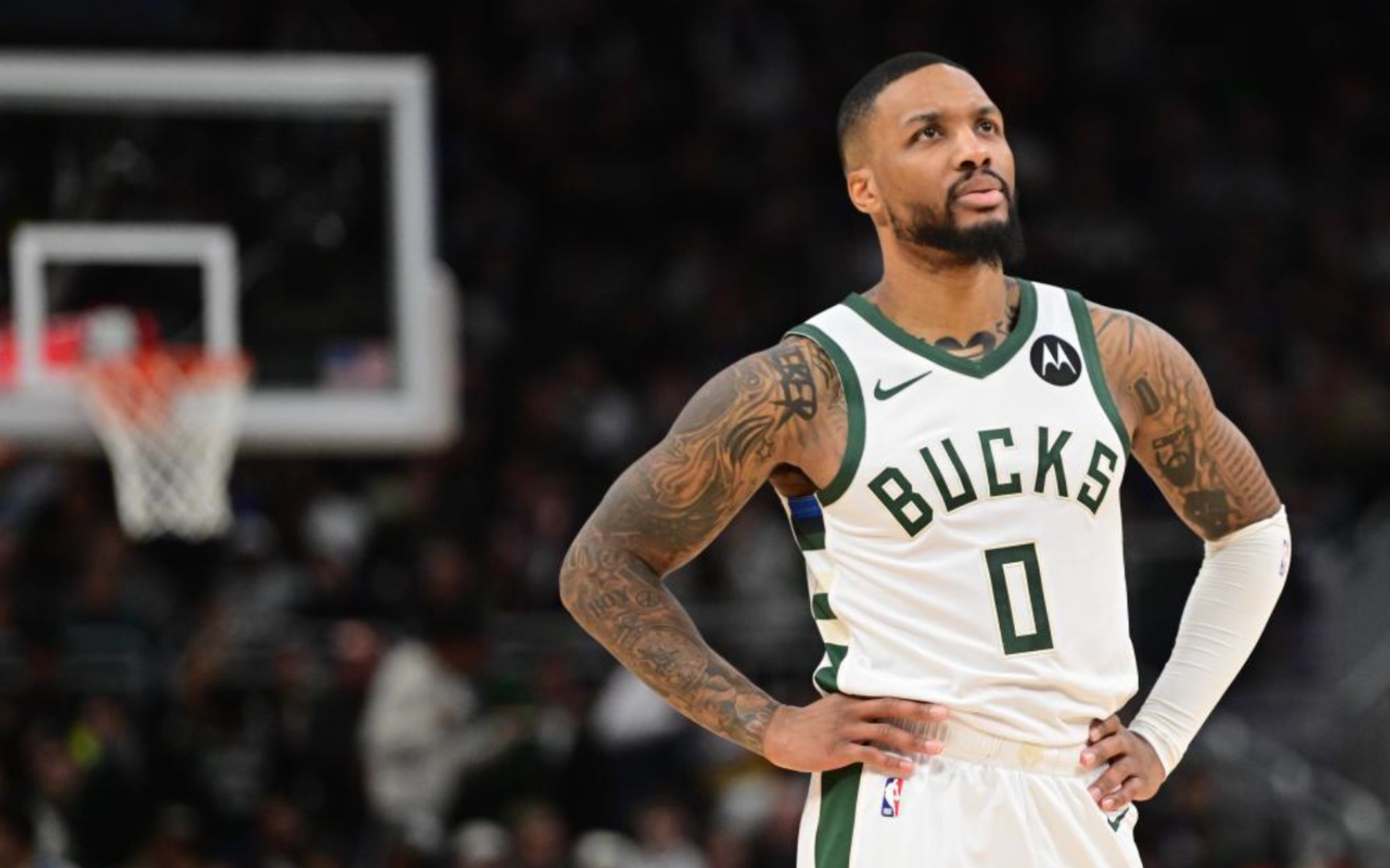 团队合作的 团队合作的